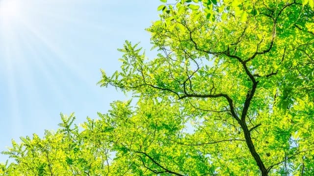 健康講座「あれ、見えにくい？～加齢に伴う目の病気と日常のケア～」
