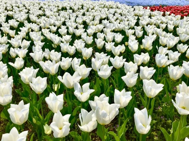 令和８年度三朝町スポーツ・レクリエーション祭