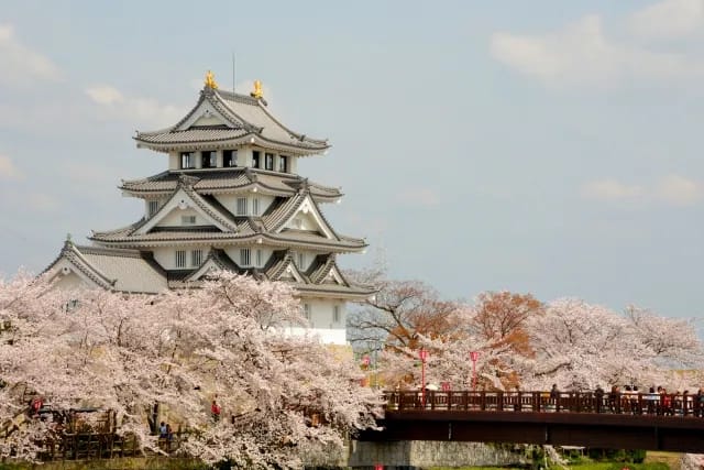 イチジク栽培先進地視察