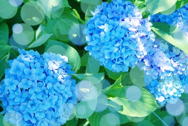 やってみよう！お正月遊び／かんたん凧をつくってあげよう！