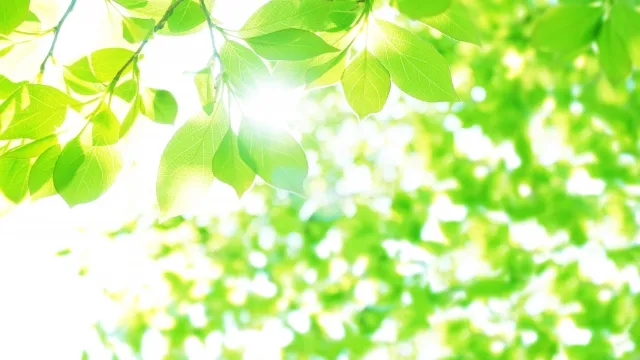 あかちゃんのおはなしかい