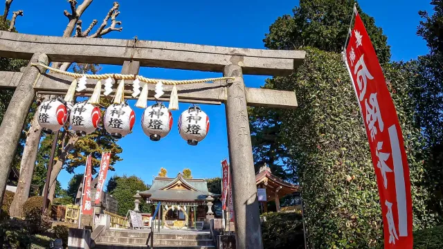 鳥取砂丘らっきょう花マラソン大会